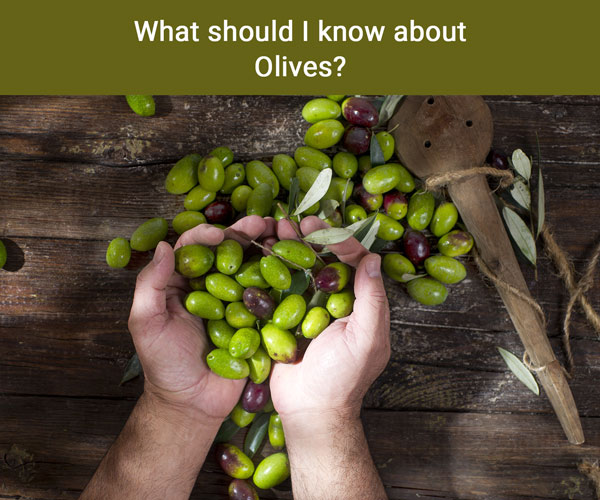 sparta-gourmet_what should I know about Olives